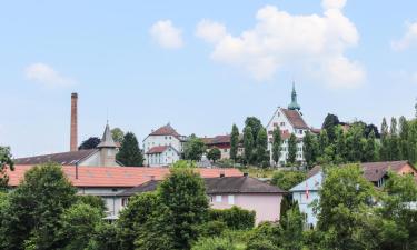 Hoteles económicos en Bischofszell