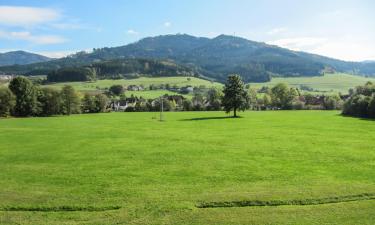 Vacation Rentals in Winden im Elztal