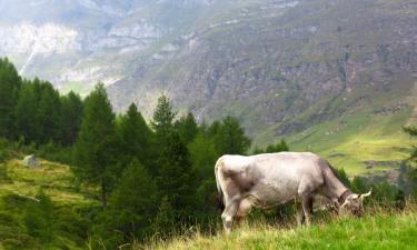 Appartamenti a Sluderno