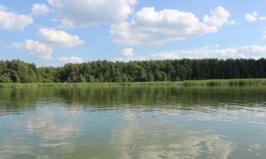 Fastov şehrindeki otoparklar