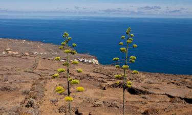 Hoteller i La Caleta