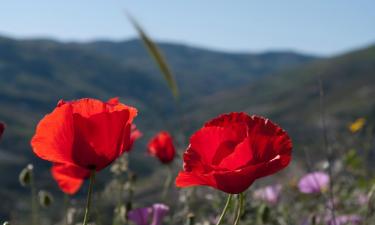 Allotjaments vacacionals a Vilademuls