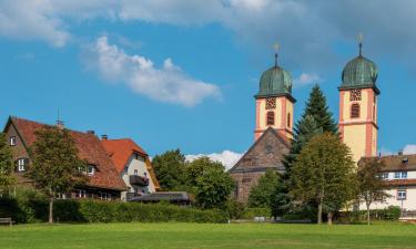 Hoteles familiares en Buchenbach