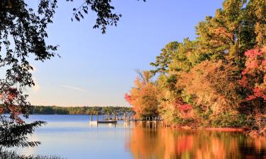 Hotel pet friendly a Irmo