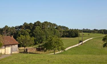 Hotels met Parkeren in Moustey