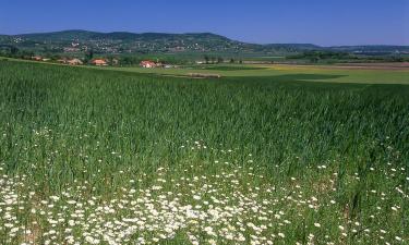 Holiday Rentals in Köveskál