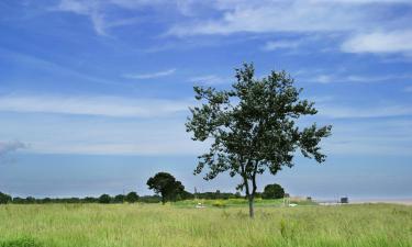 Hoteles en Blaye