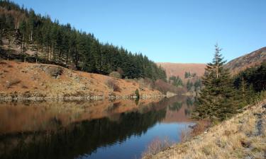 B&Bs in Rhayader