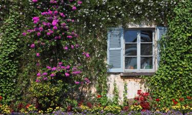 Hoteles con parking en Brunello