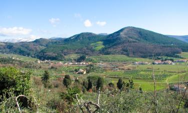 Cheap Hotels in Montemurlo