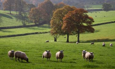 Hotels with Parking in Pontardawe