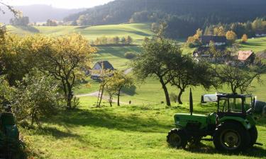 Hotels with Parking in Weißenhorn