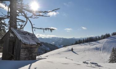 Huisdiervriendelijke Hotels in Mürzsteg