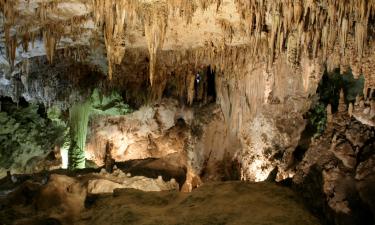 Gua Musang şehrindeki daireler