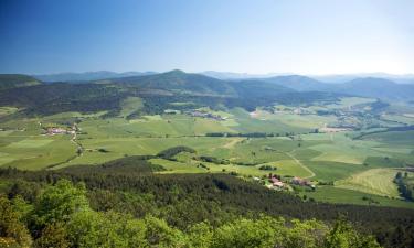 Holiday Rentals in Irurtzun