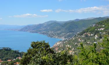 Apartments in Pieve Ligure