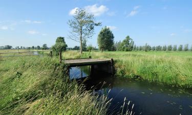 Hoteles en Zevenbergen