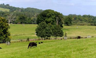 Villas in Llanarmon Dyffryn-Ceiriog