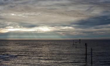 Beach rentals in Ter Heijde