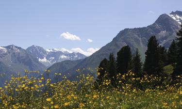 Apartments in Strass im Zillertal