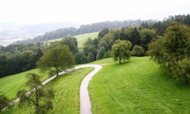 Ferienwohnungen in Reckingen - Gluringen