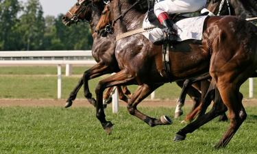 Hotel ad Aintree