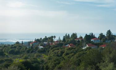 Hoteles familiares en Mitzpe Hila