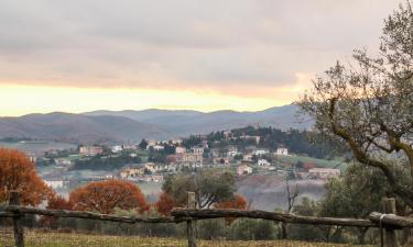 Hoteles en San Venanzo