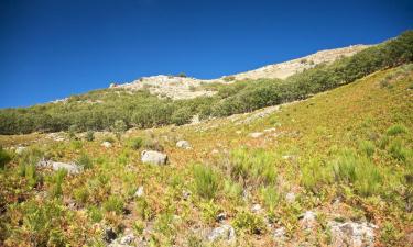 Lavprishoteller i Cuevas del Valle