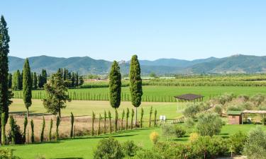 Alquileres vacacionales en Braccagni