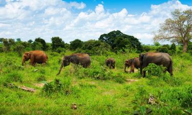 Hoteles en Udawalawe