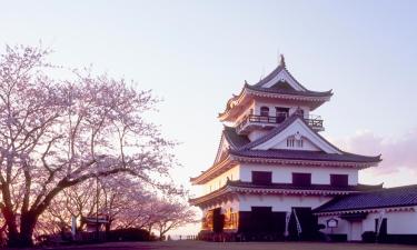 Hotels amb aparcament a Tateyama