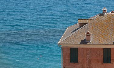 Casas y chalets en Ceriale