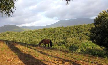 Alquileres vacacionales en Sorbo-Ocagnano