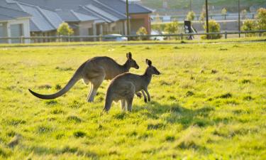 Hotels with Parking in Irymple