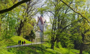 Hotel con parcheggio a Chynadiyovo