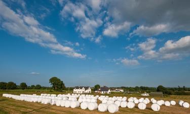 Lacné hotely v destinácii Ballymahon