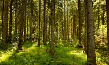 Hoteller med parkeringsplass i Abenberg