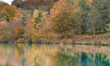 Hotel di Ockley