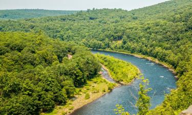 Villas in Callicoon