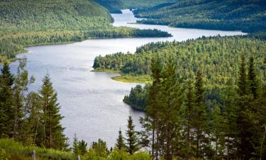 Auberges à Shawinigan