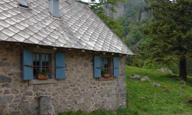 Hoteles en La Petite-Pierre