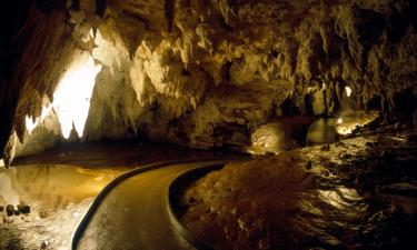 Hôtels à Grottes de Waitomo