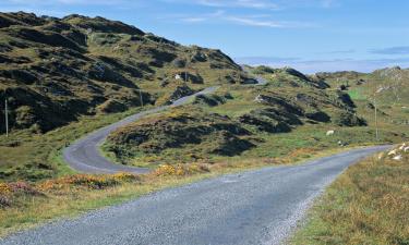 Bed and Breakfasts en Skibbereen