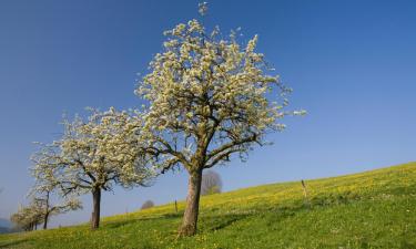 Cheap holidays in Göppingen