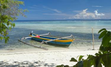 Vacaciones baratas en Palu