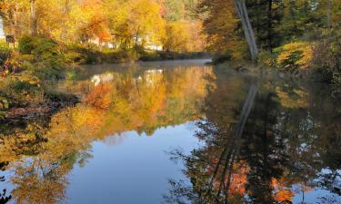 Hoteles con parking en Ludlow