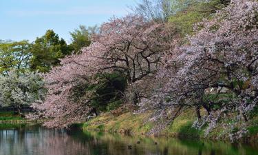 Homestays in Hagi