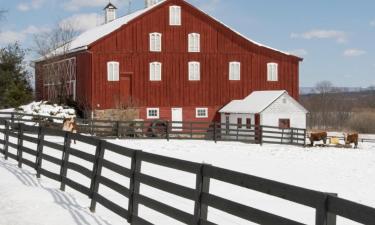 Hotels in Bedford