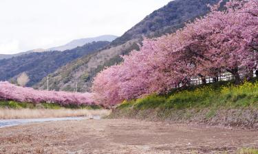 河津町のホテル